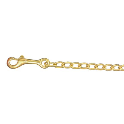 Intrepid International Brass Plated Lead Chain - 20 Inch - Strong and Reliable Equestrian Training Tool