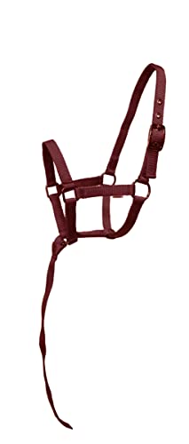 Nylon Foal Halter with Detachable 13" Catch - color: Burgundy