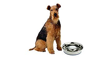OurPet's DuraPet Slow Feed Stainless Steel Dog Bowl, Silver, Large - size: Large (6 Cups)