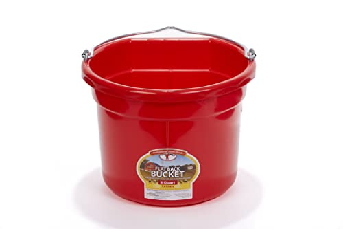 Little Giant® Flat Back Plastic Animal Feed Bucket | Animal Feed Bucket with Metal Handle | Horse Stall Feeding and Watering Supplies (Red, 8 Quart) - color: Red, size: 8 Quart