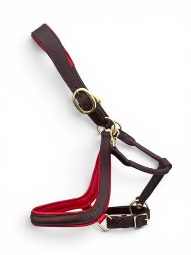 Leaders Padded Curved Leather Halter with Customized Engraved Name Plate Ergonomic Leather Halter for Horses - size: Horse Brown/Red