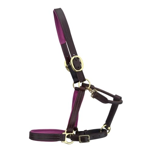 Leaders Premium Padded Leather Horse Halter - Exclusive Pre-Oiled Aniline Leather with Lacquered Solid Brass Hardware & Machined Structural Rings - size: Brown Horse Size/Pink Padding with Nameplate