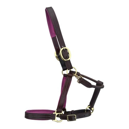 Leaders Premium Padded Leather Horse Halter - Exclusive Pre-Oiled Aniline Leather with Lacquered Solid Brass Hardware & Machined Structural Rings - size: Brown Horse Size/Pink Padding with Nameplate