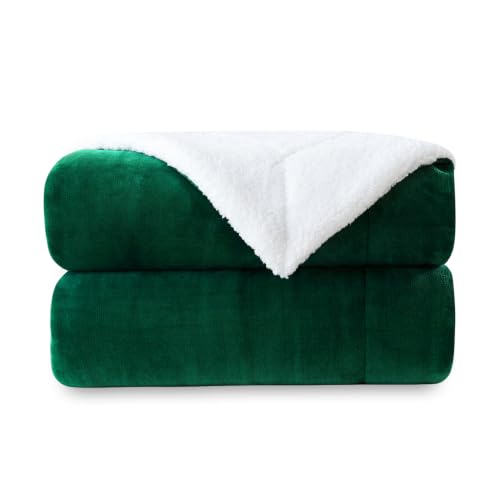 SOCHOW Sherpa Fleece Throw Blanket, Green, 60x80 inches - color: Green, size: 60"×80"