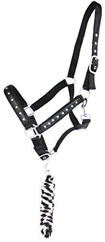 Nylon Horse Halter SS Hardware Padded Lead Rope Tack 606162BK