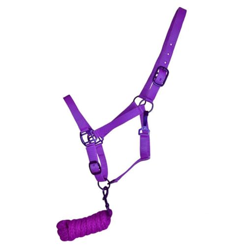 Showman Pony Triple Ply Nylon Halter w/Lead Rope - color: Purple