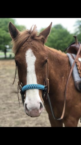 side pull hackamore bitless bridle attachment neon turquoise horse tack