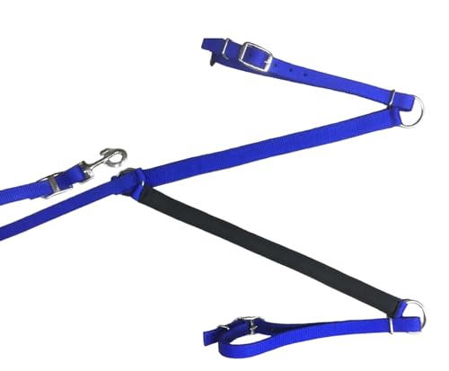 Majestic Ally Nylon Padded Equestrian Browband Headstall, Reins & BreastCollar Set for Horse- Full - color: Royal Blue