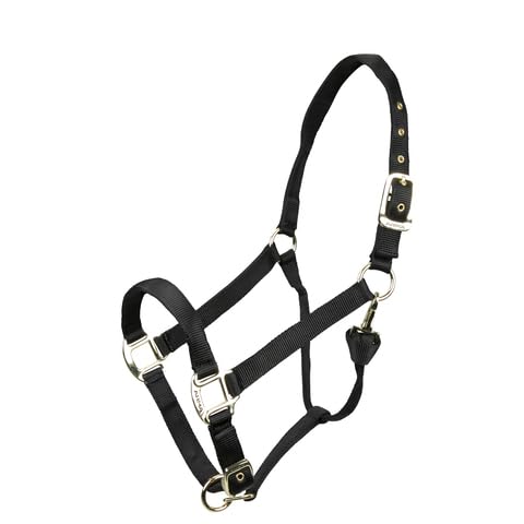 Shires ARMA Adjustable Nylon Halter - color: Black, size: Pony