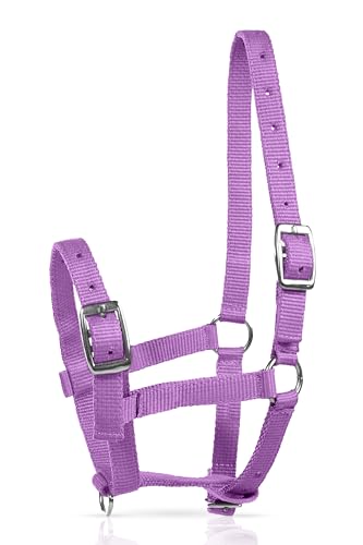 HORZE Adjustable Mini Horse Halter, Nylon Design for Foals, Colts, Fillies - color: Purple