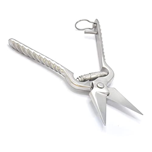 Sheep Hoof Trimming Scissors Foot Rot Shears/Sharp Blades Stainless Steel 9" Size Veterinary Instruments Farrier Tools ODM