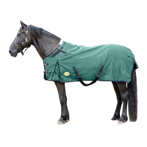 RESISTANCE Premium 1680D Waterproof Horse Turnout Blanket with 300g Polyfill & Adjustable Buckle Closure - color: Bottle Green, size: 84"