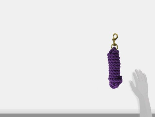 Hamilton Cotton Lead with Brass-Plated Bolt Snap, Purple, 3/4" Thick x 10' Long - color: Purple, size: 3/4" x 10'