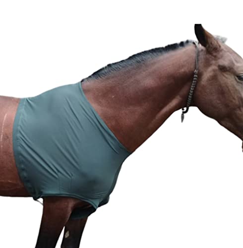 Majestic Ally Premium 4-Way Stretch Spandex/Elastane Horse Shoulder Guard for and Protection, Large, Hunter Green - color: Hunter Green