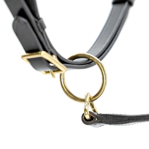 Jeffers Paris Padded Leather Horse Halter with Throat Snap, Adjustable Double Buckle Crown with Throat Snap, Triple Stitched Noseband for Cheek & Nose, Black - size: Full