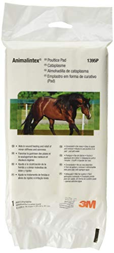 3M Animalintex Pad 8"X16"