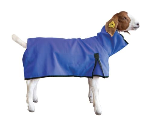 Weaver Livestock Goat Blanket, Large, Blue