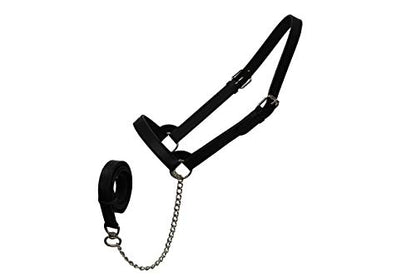 Derby Originals Premium Fancy Stitch Flat Leather Cattle Show Halter – Adjustable Fit with 48" Lead and 14" Chain, Small/Medium/Large – 1-Year Warranty - color: Havana, size: Small (350-700lbs)