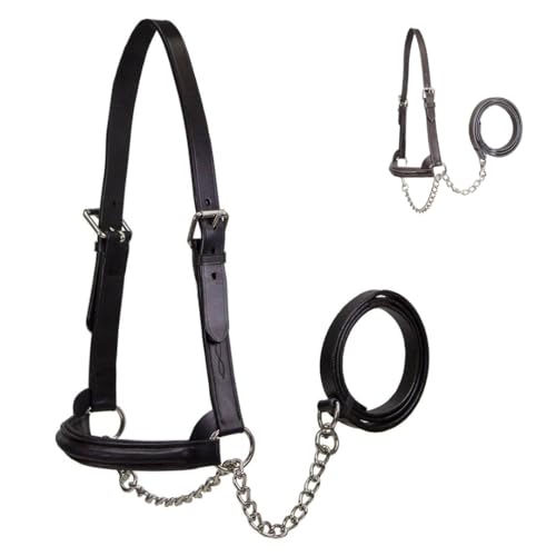 Derby Originals Premium Raised Padded Fancy Stitch Leather Cattle Show Halter with Matching Chain Lead - color: Havana, size: Medium (650-1050lbs)