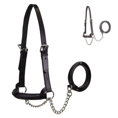 Derby Originals Premium Raised Padded Fancy Stitch Leather Cattle Show Halter with Matching Chain Lead - color: Havana, size: Medium (650-1050lbs)