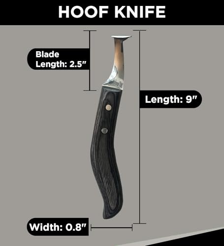 Horse Hoof Knife and Super Sharp Black Hoof Knife