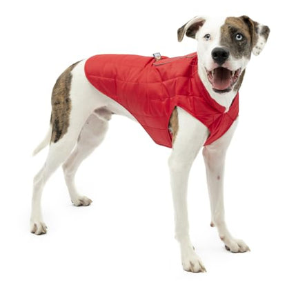 Kurgo Loft Dog Jacket, Chili Red/Charcoal, Large - color: Chili Red/Charcoal, size: Large