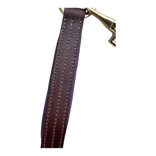 Leaders Premium Padded Leather Horse Halter - Exclusive Pre-Oiled Aniline Leather with Lacquered Solid Brass Hardware & Machined Structural Rings - size: Brown Horse Size/Purple Padding with Nameplate