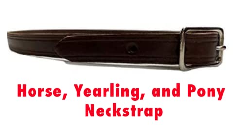 Tack Shack of Ocala Neck Straps with Custom Engraved Name Plate for Horse| Pony, Horse, Yearling, and Adjustable Light Brown Leather with Brass Plate Optional - size: Yearling