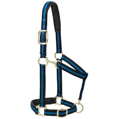 Weaver Leather Padded Adjustable Nylon Horse Halter, Blue, 1" Large Horse
