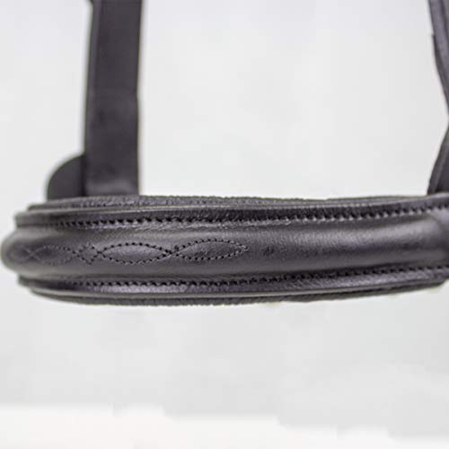 Derby Originals Premium Raised Padded Fancy Stitch Leather Cattle Show Halter with Matching Chain Lead - color: Black, size: Large (950lbs-1500lbs)
