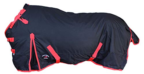 Challenger 1200D Turnout Waterproof Horse Winter Blanket Heavy Black 564G - color: Black/Red Trim, size: 82 inches