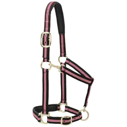 Weaver Leather Padded Adjustable Nylon Horse Halter, Blue, 1" Large Horse