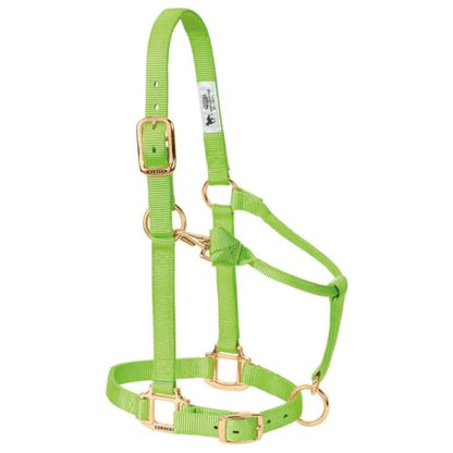 Weaver Leather Original Adjustable Nylon Horse Halter