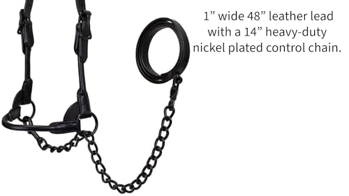 Derby Originals Black Midnight All Black Premium Round Rolled Leather Cattle Show Halter with Matching Chain Lead - size: Small (350-700lbs)