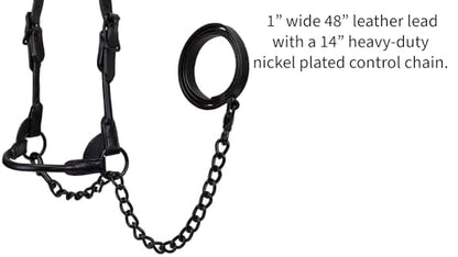 Derby Originals Black Midnight All Black Premium Round Rolled Leather Cattle Show Halter with Matching Chain Lead - size: Small (350-700lbs)