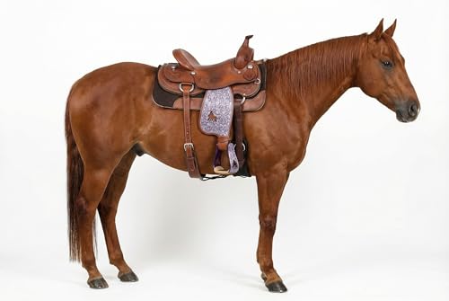 CHALLENGER Horse Saddle Western Riding Aluminum Stirrups Roper Angled Slanted Pair 51151v - color: Barrel Racer Purple