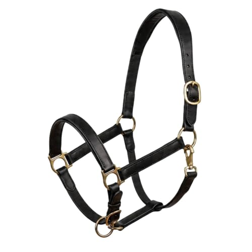 Genuine Leather Horse Halter – Padded Crown, Brass Hardware