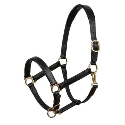 Genuine Leather Horse Halter – Padded Crown, Brass Hardware