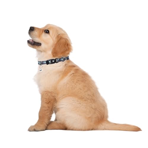 Small Dogs Collar with Bell,Puppy Collars Gift for Boys Girls Dogs-Skull S - color: 5, size: S (Neck 9"-12")