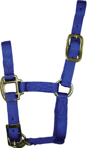 Hamilton Quality Adjustable Horse Halter, 100-200 lbs, Blue - color: Blue, size: Pony, 100-200lbs