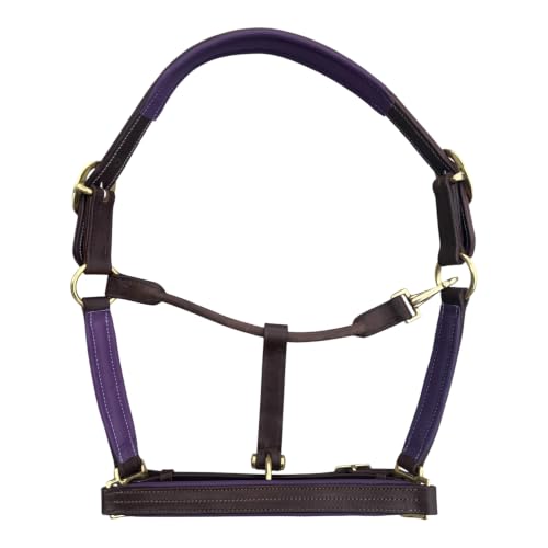 Leaders Premium Padded Leather Horse Halter - Exclusive Pre-Oiled Aniline Leather with Lacquered Solid Brass Hardware & Machined Structural Rings - size: Brown Horse Size/Purple Padding with Nameplate