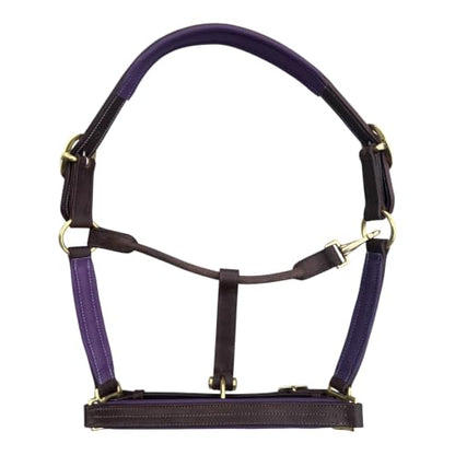 Leaders Premium Padded Leather Horse Halter - Exclusive Pre-Oiled Aniline Leather with Lacquered Solid Brass Hardware & Machined Structural Rings - size: Brown Horse Size/Purple Padding with Nameplate