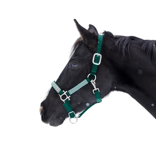 Kensington - color: Hunter w/Imperial Jade, size: Large
