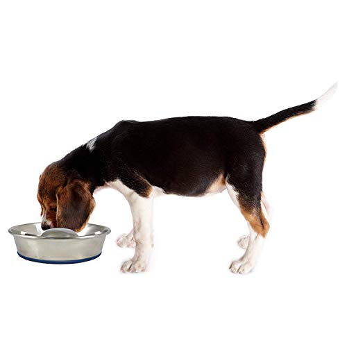 OurPets DuraPet Slow Feed Premium Stainless Steel Bowl (Heavyweight Durable Stainless Steel Bowls, Dog Food Bowl, and Dog Water Bowl) Great Alternative to Snuffle Mat for Dogs-Medium - size: Medium (4.5 Cups)