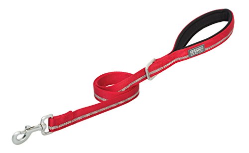 Terrain D.O.G. Reflective Neoprene Lined Dog Leash, Red, 6-feet L x 1-inch W
