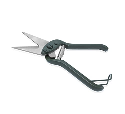 Heavy Duty Foot Rot Shear Sheep Shears Hoof Trimming with Serrated Jaws ODM
