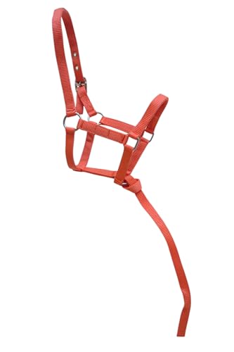 Nylon Foal Halter with Detachable 13" Catch - color: Orange
