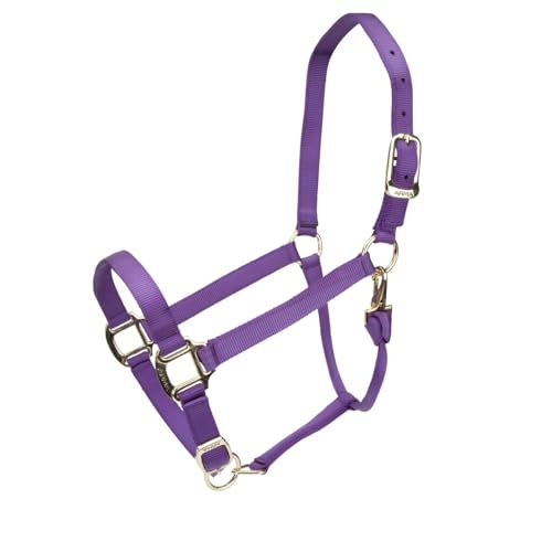 Shires ARMA Adjustable Nylon Halter - color: Purple, size: Cob
