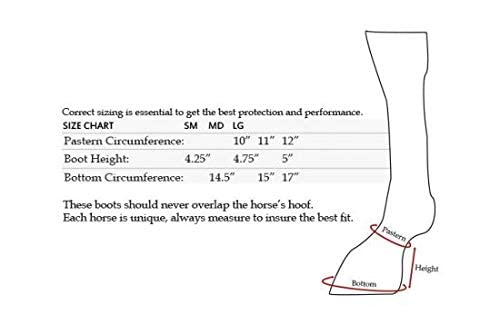 Showman Elite Equine Bell Boots - color: Blue, size: Large