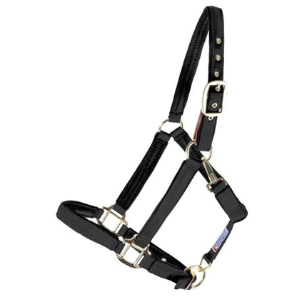 Dura-Tech Deluxe Fully Padded Breakaway Horse Halter | 1” Double Ply Nylon Web Overlay | Heavy-Duty Hardware | Semi Custom Fit | 3-Point Cheek Attachment - color: Black, size: Oversize